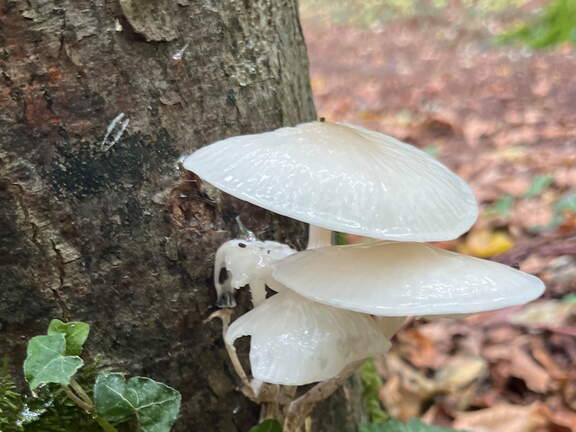 22-10-07 11-44-40 2443